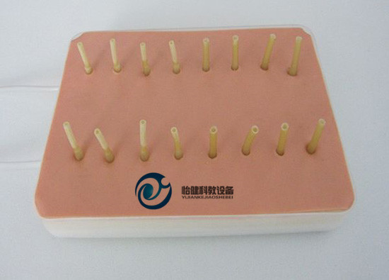 表面出血点止血考核指导模型