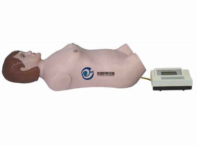 全自动腹部触诊听诊模拟人