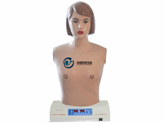 数字遥控式心肺听诊触诊模拟人（单机版）