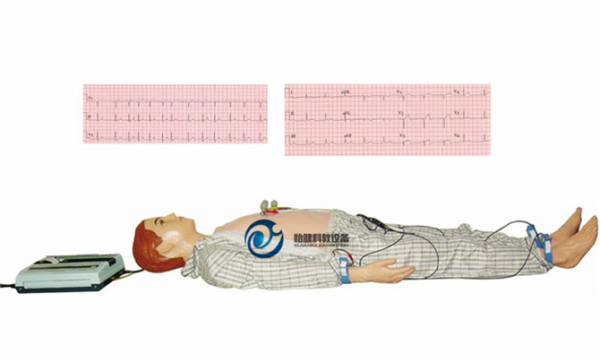 多种心电图电脑模拟人