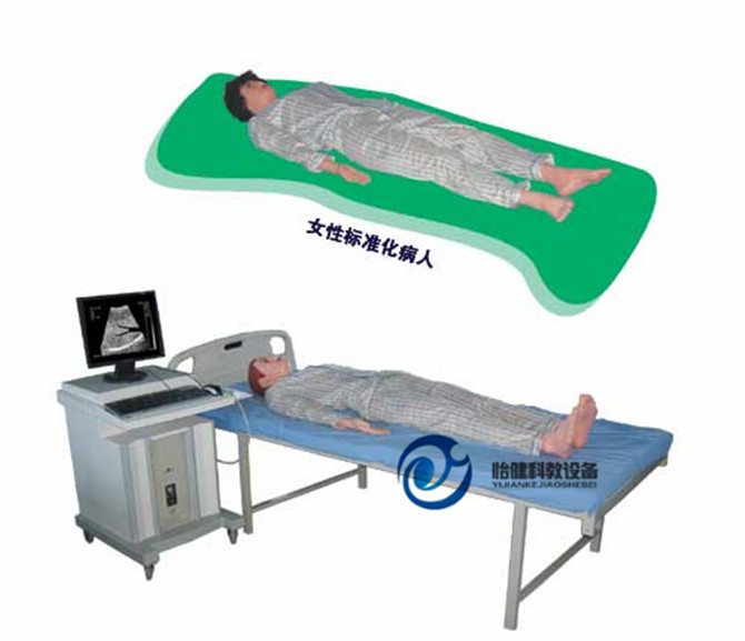 多媒体超声仿真病人模拟教学系统