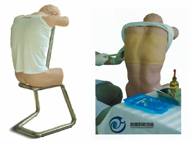 胸腔(背部)穿刺训练模型