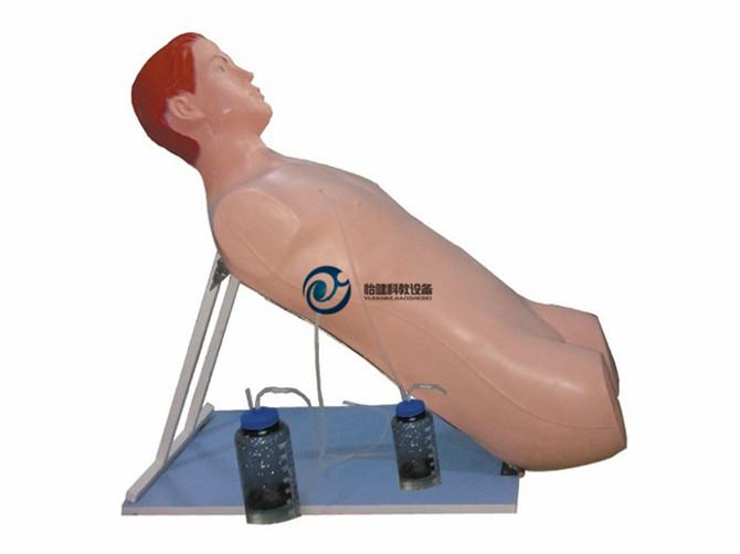 CK818_胸腔闭式引流术训练模型