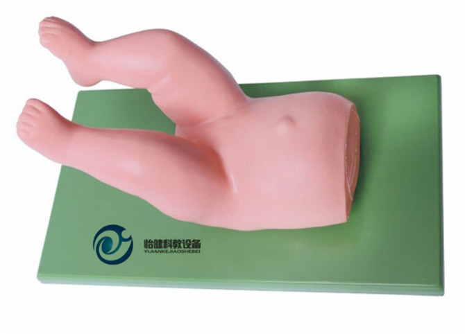 婴儿髋关节复位操作模型