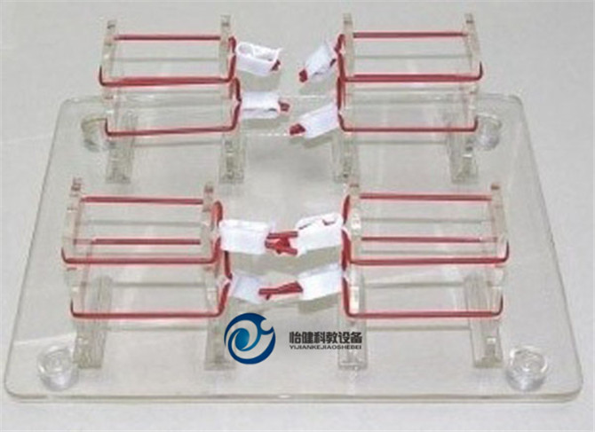 浅表打结技能训练模型