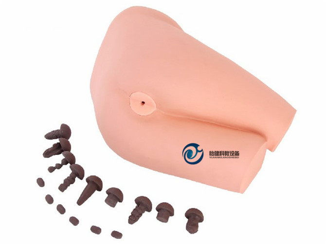 直肠检查操作模型