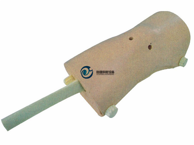 膝关节镜检查模型