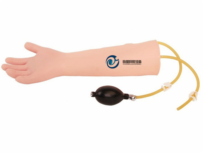 高级儿童动脉注射模型