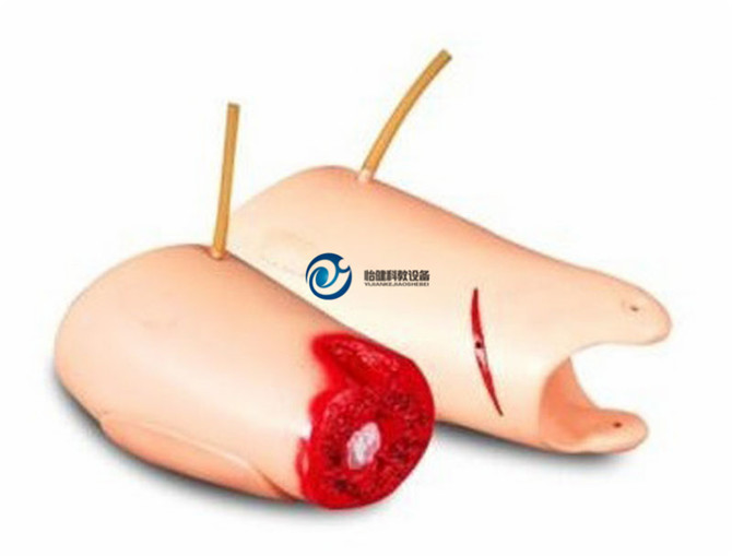 控制出血大腿模型