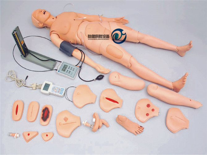 高级成人护理模型