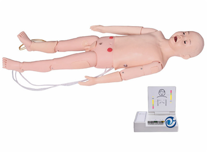 全功能五岁儿童高级模拟人