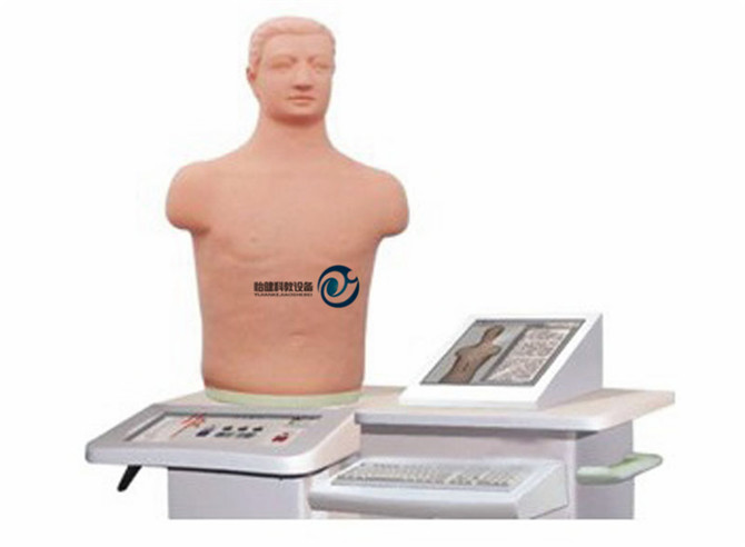 经穴学及针刺仿真训练系统