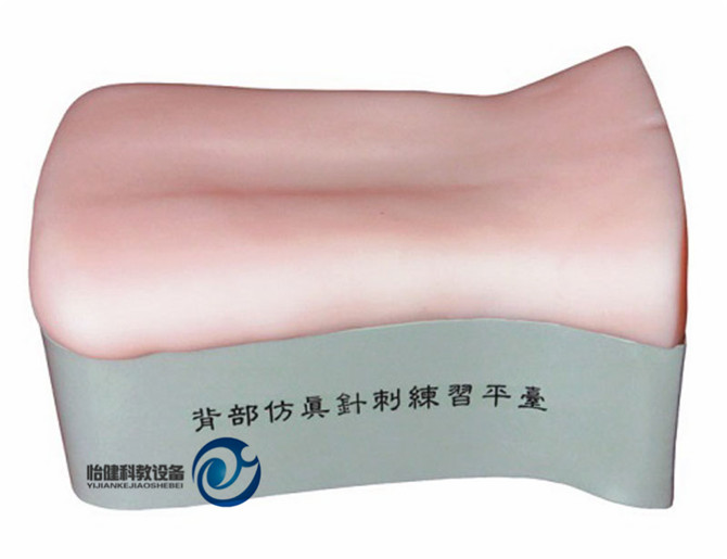 背部仿真针刺练习平台