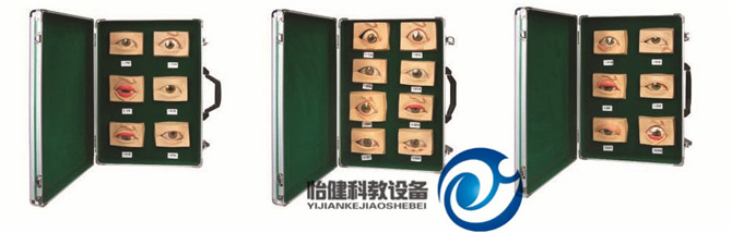 常见眼病模型