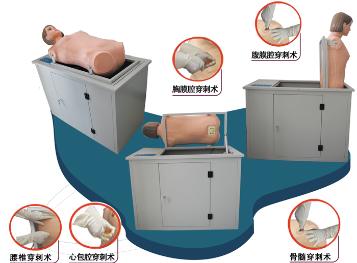 高级全自动多种穿刺叩诊电脑模拟人