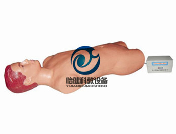 腹腔与股静脉穿刺电动模型