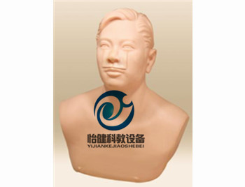 上颌窦穿刺训练模型