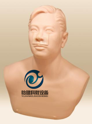 上颌窦穿刺训练模型