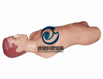 心包穿刺及骨髓穿刺模型