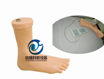 踝关节穿刺注射电子监测模型