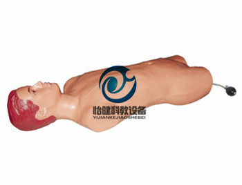 股动脉穿刺模拟人