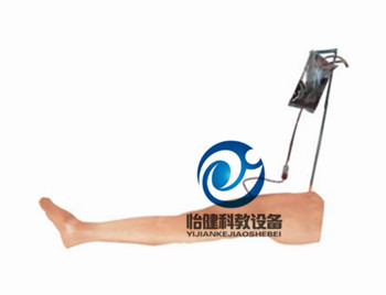 成人胫骨穿刺训练模型